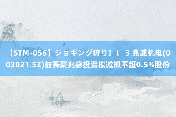 【STM-056】ジョギング狩り！！ 3 兆威机电(003021.SZ)鼓舞聚兆德投资拟减抓不超0.5%股份