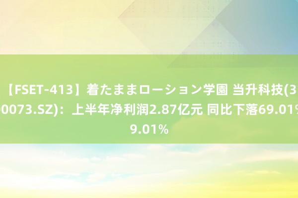 【FSET-413】着たままローション学園 当升科技(300073.SZ)：上半年净利润2.87亿元 同比下落69.01%