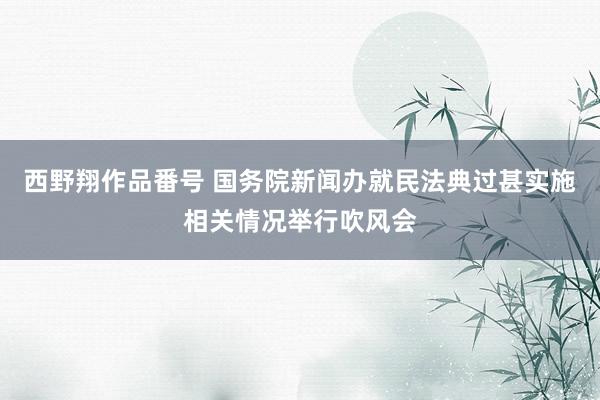 西野翔作品番号 国务院新闻办就民法典过甚实施相关情况举行吹风会